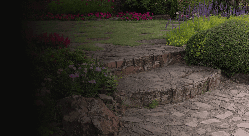 Professional outdoor services