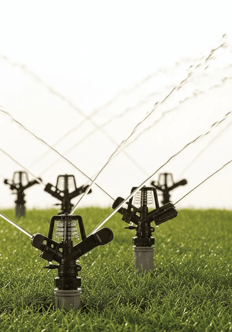 In-Ground Sprinkler System